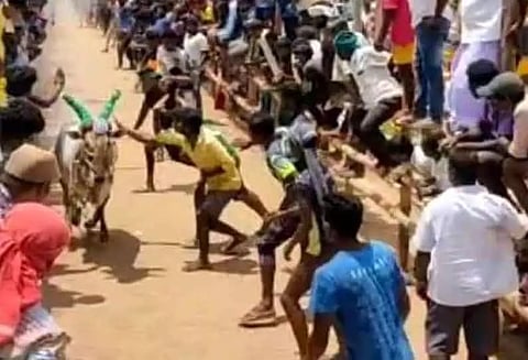 எருது விடும் விழாவில் மாடு முட்டி 16 பேர் காயம்