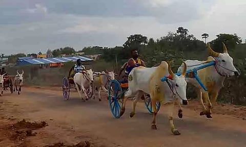 குளத்துப்பட்டியில் மாட்டு வண்டி பந்தயம்