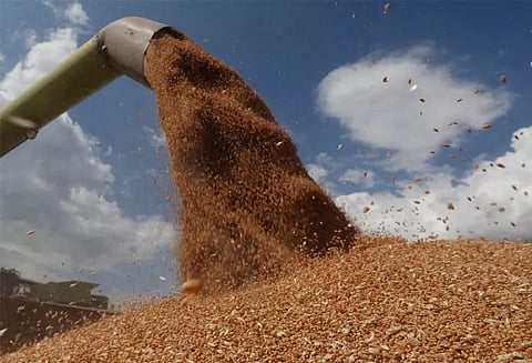 100-வது நாளை எட்டிய உக்ரைன் போர்: உலகளாவிய உணவு நெருக்கடிக்கு வழிவகுக்கும் என உலக நாடுகள் அச்சம்!