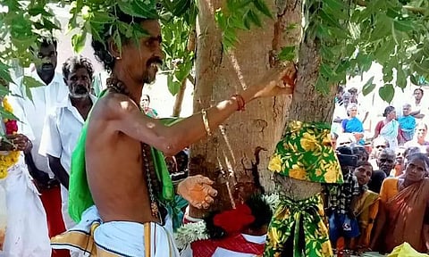 மழை வேண்டி அரச மரத்துக்கும், வேப்ப மரத்துக்கும் திருமணம் நடத்திய கிராம மக்கள்