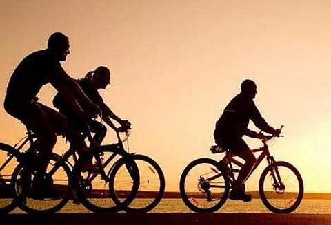 உலக சைக்கிள் தினம்