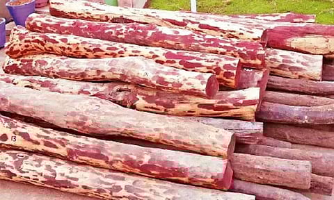 மங்களூருவில் ரூ.4 கோடி செம்மரக்கட்டைகள் பறிமுதல்; 7 பேர் கைது