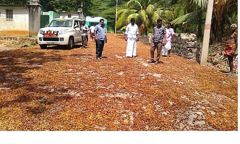 கடமலைக்குண்டு ஊராட்சியில் வளர்ச்சி பணிகள் குறித்து திட்ட இயக்குனர் ஆய்வு