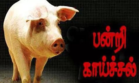 மராட்டிய மாநிலம் தானேயில் இந்த ஆண்டில் இதுவரை பன்றி காய்ச்சலுக்கு 15 பேர் பலி