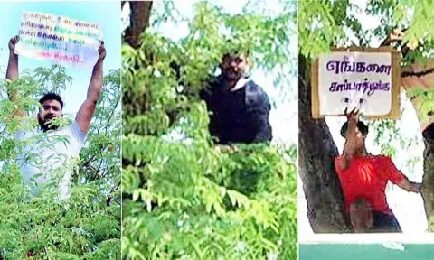 அகதிகள் சிறப்பு முகாமில் கைதிகள் மரத்தில் ஏறி போராட்டம்