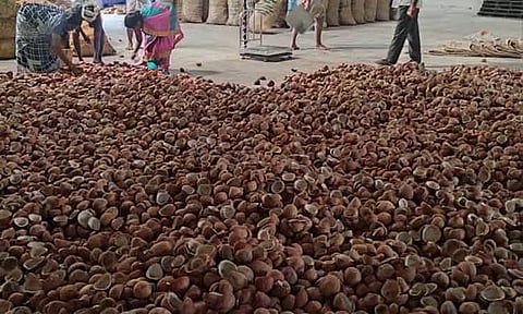 கொப்பரை விலை வீழ்ச்சி