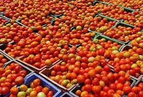 வரத்து அதிகரிப்பு எதிரொலி: கம்பம் உழவர் சந்தையில் காய்கறி விலை குறைவு: தக்காளி கிலோ ரூ.9-க்கு விற்பனை