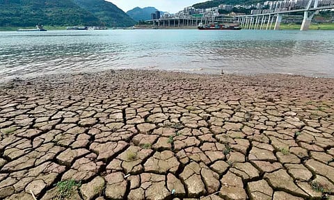 500 ஆண்டுகளில் இல்லாத வறட்சி நிலையில் ஐரோப்பிய கண்டம்: எச்சரிக்கை தகவல்