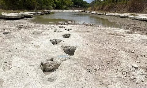 Image courtesy: Dinosaur Valley State Park