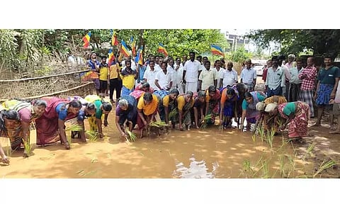 சாலையை சீரமைக்க கோரி பா.ம.க.வினர் நாற்றுநடும் போராட்டம்