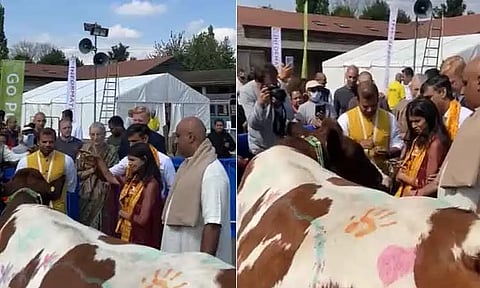 லண்டனில் 'கோ பூஜை' செய்த ரிஷி சுனக்-அக்ஷதா மூர்த்தி தம்பதி