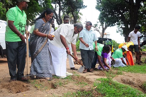 2,000 பனை விதைகள் நடவு