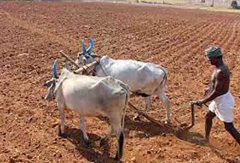 பயிர் கழிவுகளை பண்ணை உரமாக்குவது எப்படி?