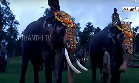 நீலகிரி: 22 பேரை கொன்ற கும்கி யானைக்கு பணி ஒய்வு