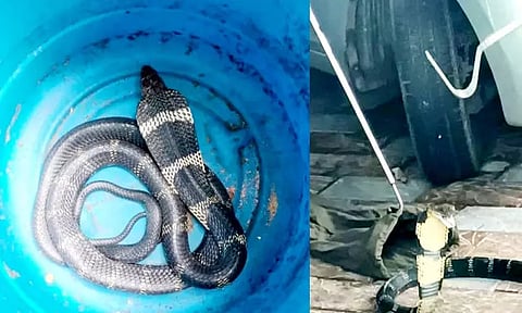 ஆடம்பர காரில் ஒரு மாத காலம் உல்லாச பயணம்.. சிக்கிய ஆபத்தான விஐபி