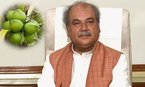 24-வது உலக தேங்காய் தினம்: குஜராத்தில் தொடங்கி வைக்கிறார் மத்திய மந்திரி நரேந்திர சிங் தோமர்