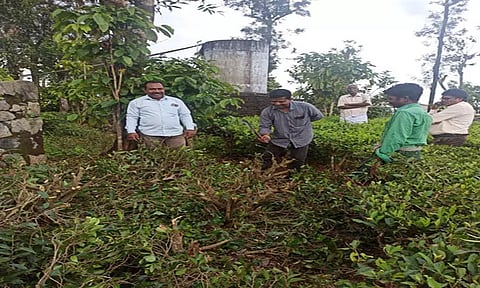 ஆக்கிரமிப்பு நிலம் மீட்பு