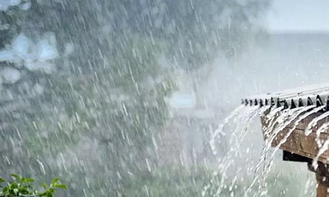 பந்தலூரில் பலத்த மழை