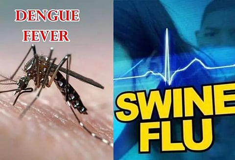 பன்றி காய்ச்சல், டெங்கு பாதிப்பு அதிகரிப்பு