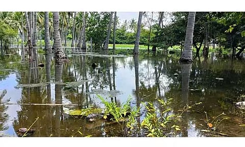 8 மாதங்களாக விவசாய நிலங்களில் குளம்போல் தேங்கி நிற்கும் மழைநீர்