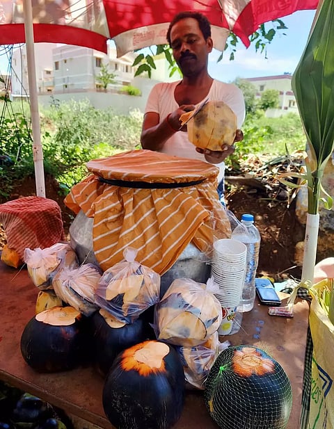 தேனியில் நுங்கு, பதனீரை தொடர்ந்து பனம்பழம் விற்பனை