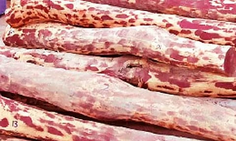 கோப்புப்படம்