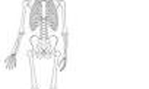 ஓடையில் தலையில்லாத மனித எலும்புக்கூடு