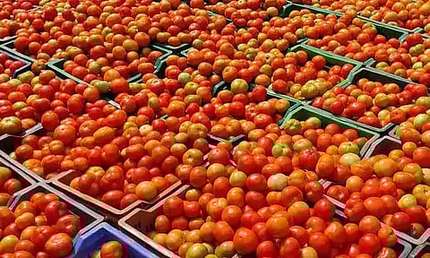 சென்னையில் தக்காளி விலை 'கிடுகிடு' உயர்வு: இல்லத்தரசிகள் அதிர்ச்சி