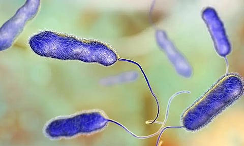 ஏசி மூலம் பரவும் புதிய வகை வைரஸ் - 4 பேர் பலி