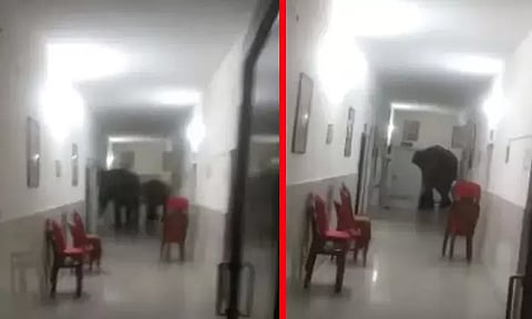 Image courtesy: Indiatoday