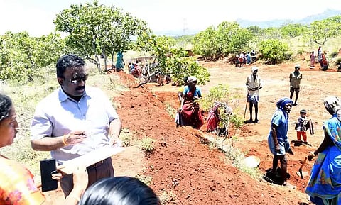 ஆண்டிப்பட்டி ஒன்றியத்தில் வளர்ச்சி பணிகளை கலெக்டர் ஆய்வு