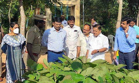 மலைவாழ் மக்களை பொருளாதாரத்தில் முன்னேற்றம் அடைய செய்வதே அரசின் நோக்கம் - வனத்துறை அமைச்சர் ராமச்சந்திரன்