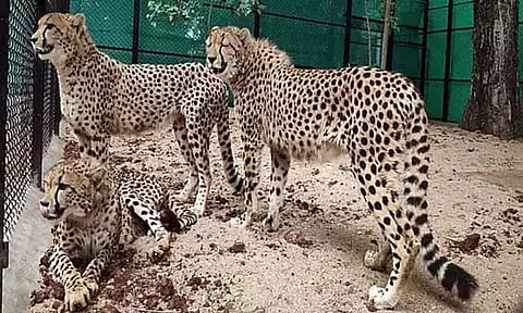 Image Courtesy : ANI