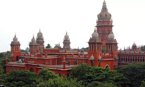 வனப்பகுதியில் உள்ள அன்னிய மரங்களை வேகமாக அகற்றாவிட்டால் ஆபத்து - ஐகோர்ட்டு எச்சரிக்கை