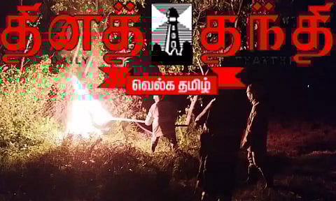 7 ஆடுகளை கதண்டுகள் கடித்தது