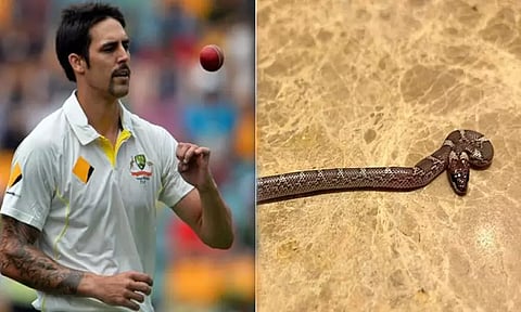 Image Courtesy: AFP/ Instagram mitchjohnson398