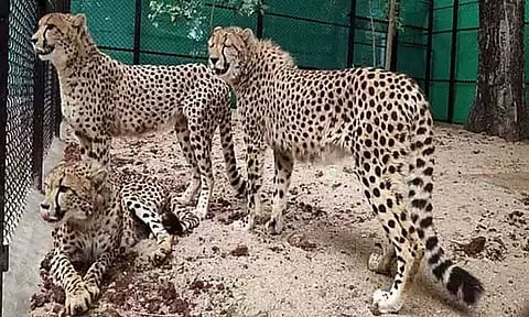 Image Courtesy : ANI