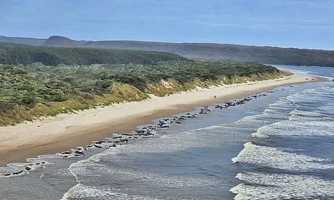 Image Courtesy: reuters