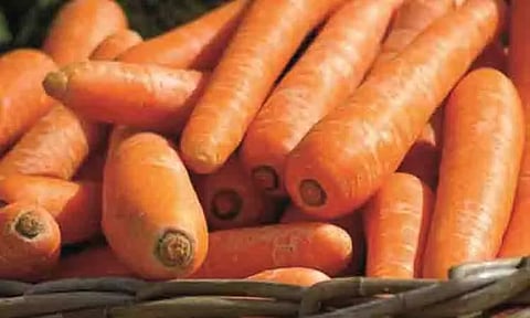 கரூர் மார்க்கெட்டில் ஒரு கிலோ கேரட் ரூ.160-க்கு விற்பனை