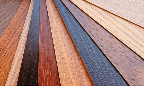 மரப் பொருட்கள் செய்வதற்கு பயன்படும் 10 வகையான மரங்கள்