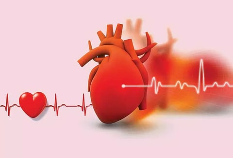 இதய ஆரோக்கியத்தை மேம்படுத்தும் பழக்கவழக்கங்கள்