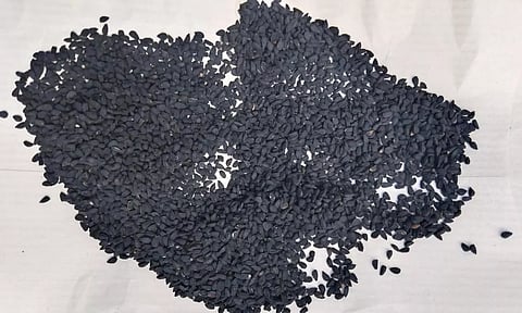 வெடி மருந்து கிடந்ததாக தகவல் பரவியதால் பரபரப்பு