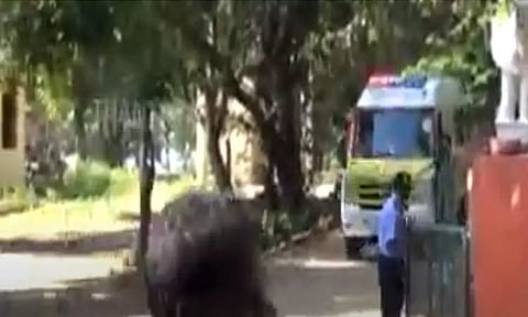 திடீர் மாரடைப்பு - சாலை வசதி இல்லாததால்.. 1 கி.மீ-க்கு மூதாட்டியை தூக்கி வந்த ஆம்புலன்ஸ் ஊழியர்கள்