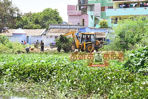 கந்தம்பாளையத்தில் குட்டையில் ஆகாயத்தாமரைகள் அகற்றும் பணி தொடக்கம்