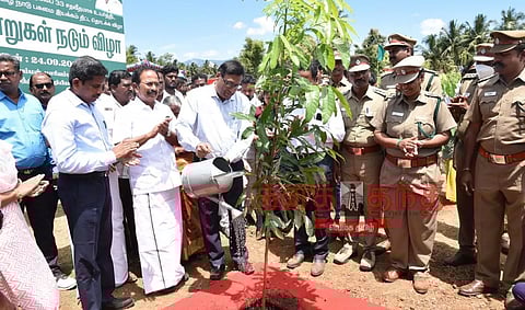 மாவட்டத்தில் பசுமை வனப்பரப்பை 33 சதவீதமாக உயர்த்த நடவடிக்கை