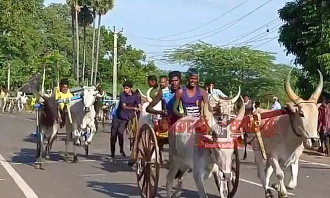 சிங்கம்புணரியில், சீறிப்பாய்ந்த மாட்டு வண்டிகள்