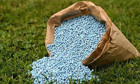 கடலூர் மாவட்டம் விருத்தாசலத்தில் உர உற்பத்தி கிடங்குகளில் அதிகாரிகள் குழு திடீர் ஆய்வு