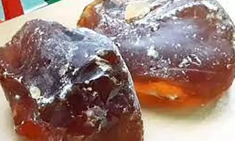 மீனவர் வலையில் சிக்கிய திமிங்கல உமிழ்நீர்