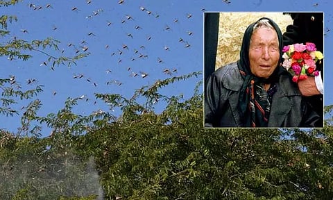 இந்தியாவில் இந்த ஆண்டு 'வெட்டுக்கிளி தாக்குதல்' ஆபத்து- அதிர்ச்சி தரும் பாபா வாங்காவின் கணிப்பு