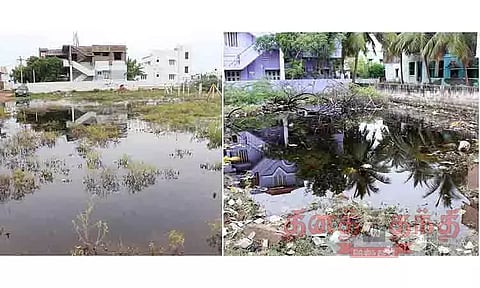 காலிமனைகளில் தேங்கும் மழைநீரில் உற்பத்தியாகும் கொசுக்கள்